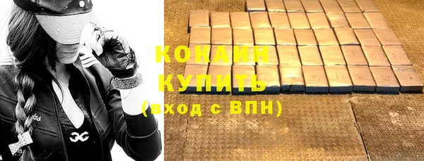 СК Ветлуга
