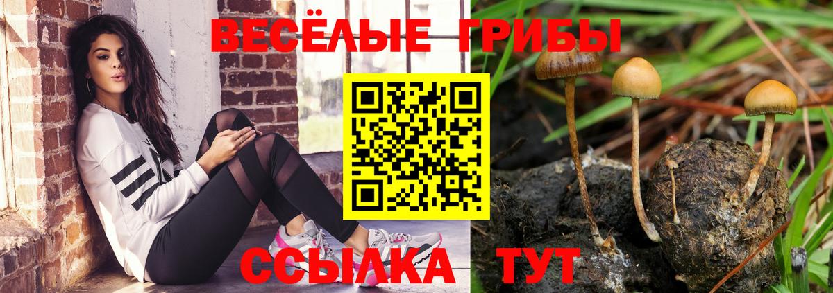цена наркотик  Псилоцибиновые грибы MAGIC MUSHROOMS  Вход с VPN  Галлюциногенные грибы Psilocybe  Саров 