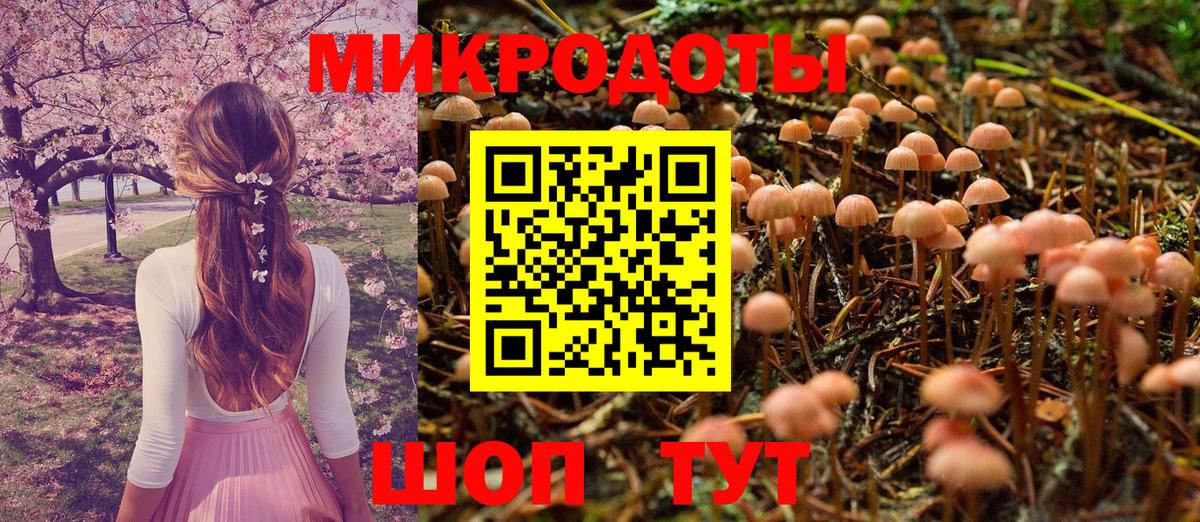 Псилоцибиновые грибы Psilocybe Саров